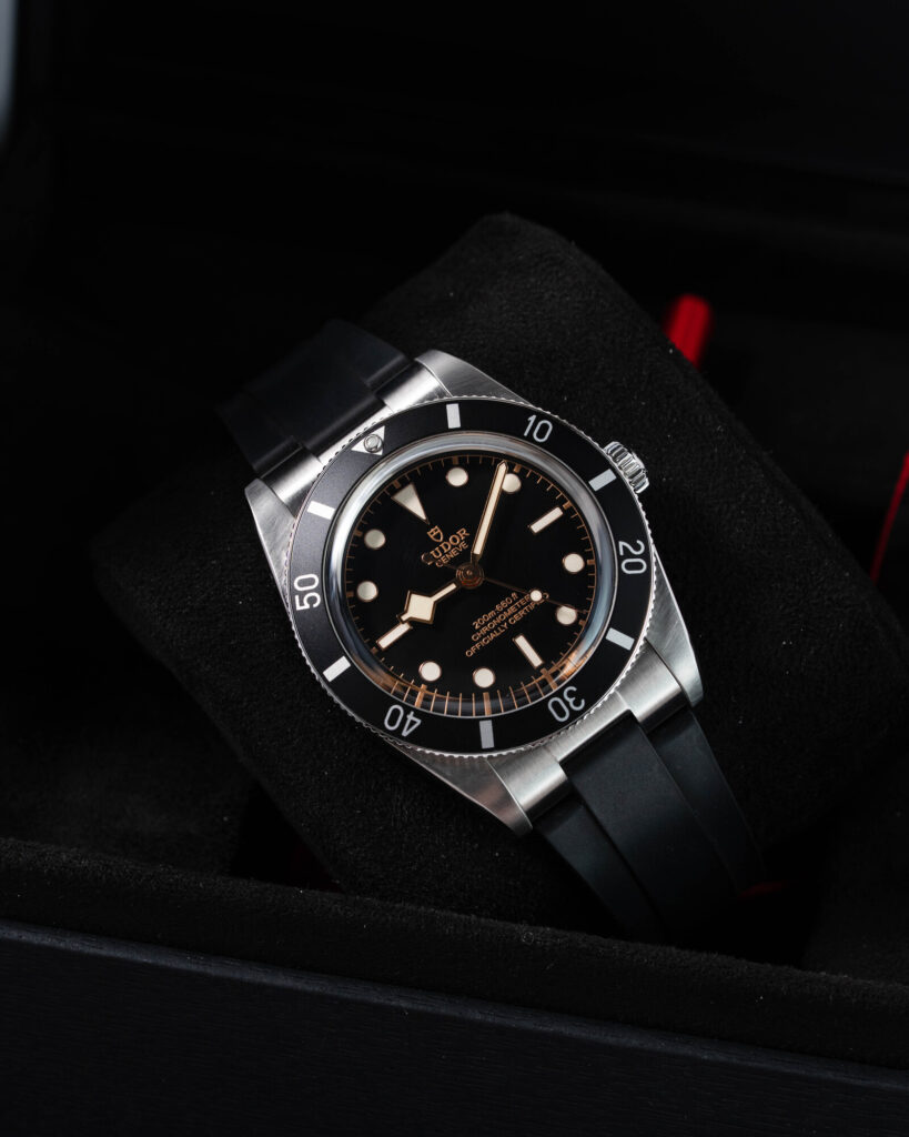 Tudor Black Bay 54 M79000N 2024