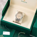 Rolex Oyster Perpetual 134300 2026