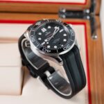 Omega Seamaster 210.32.42.20.01.001 2022
