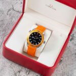 Omega Seamaster Planet Ocean 2208.50.00