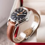 Omega Seamaster 231.12.42.21.01002 2015