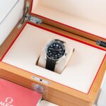 Omega Seamaster 210.32.42.20.01.001 2022
