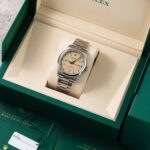 Rolex Oyster Perpetual 134300 2026