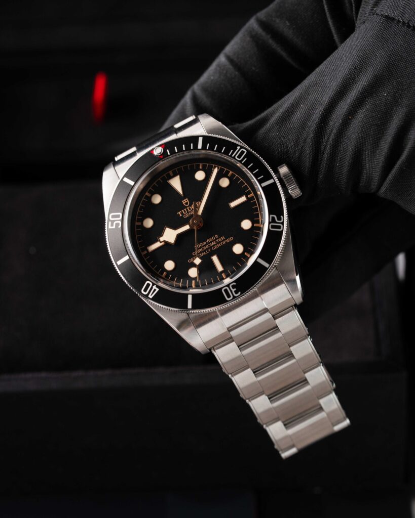 Tudor Black Bay 79230N 2022