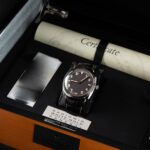 Panerai Radiomir PAM00376 2011