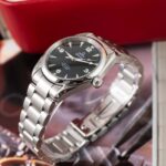 Omega Seamaster Railmaster 25045200 2007