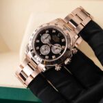 Rolex Daytona 126505 2024