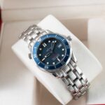 Omega Seamaster 22238000 2010