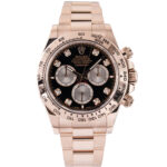 Rolex Daytona 126505 2024
