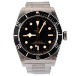 Tudor Black Bay 79230N 2022