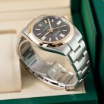 Rolex Oyster Perpetual 134303 2026