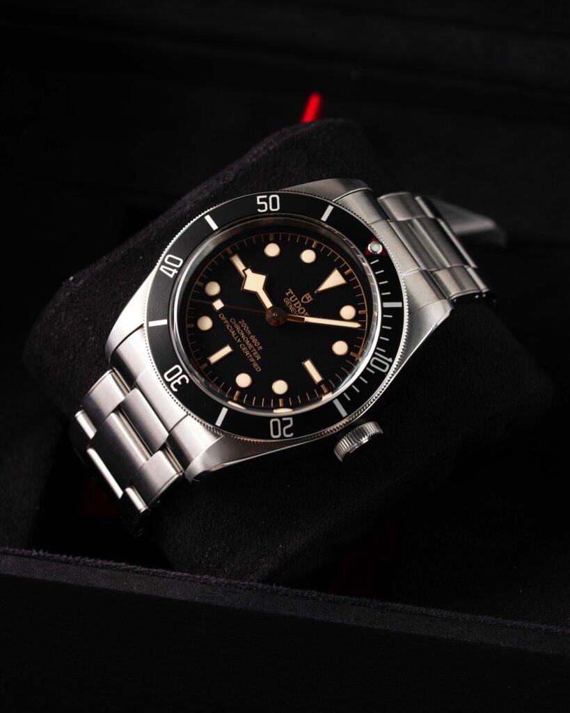 Tudor Black Bay 79230N 2022