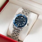 Omega Seamaster 22238000 2010