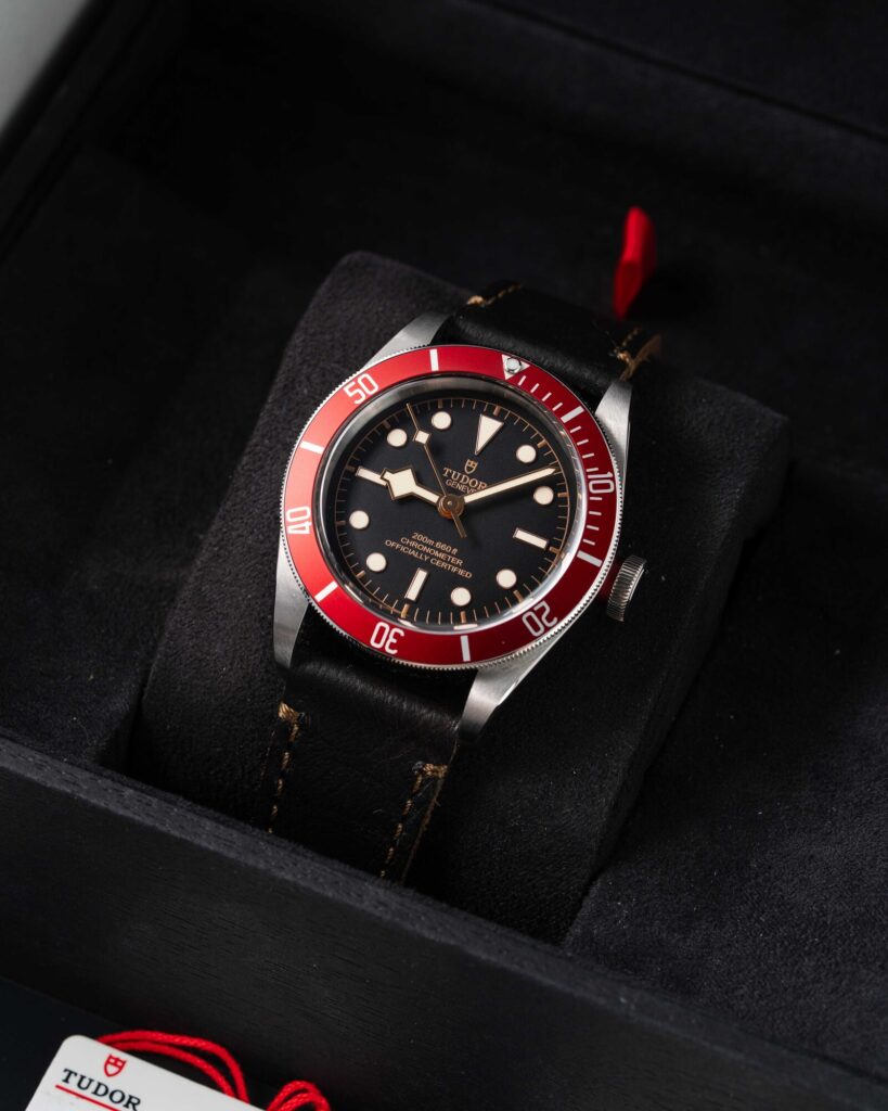 Tudor Black Bay 79230R 2021