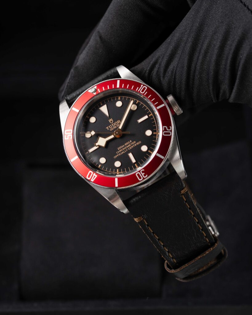 Tudor Black Bay 79230R 2021