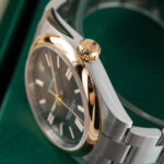 Rolex Oyster Perpetual 134303 2026