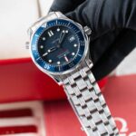 Omega Seamaster 22238000 2010