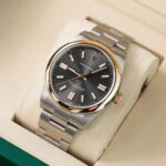 Rolex Oyster Perpetual 134303 2026