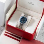 Omega Seamaster 22238000 2010