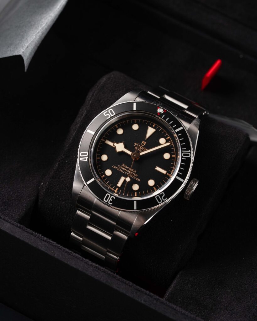 Tudor Black Bay 79230N 2022