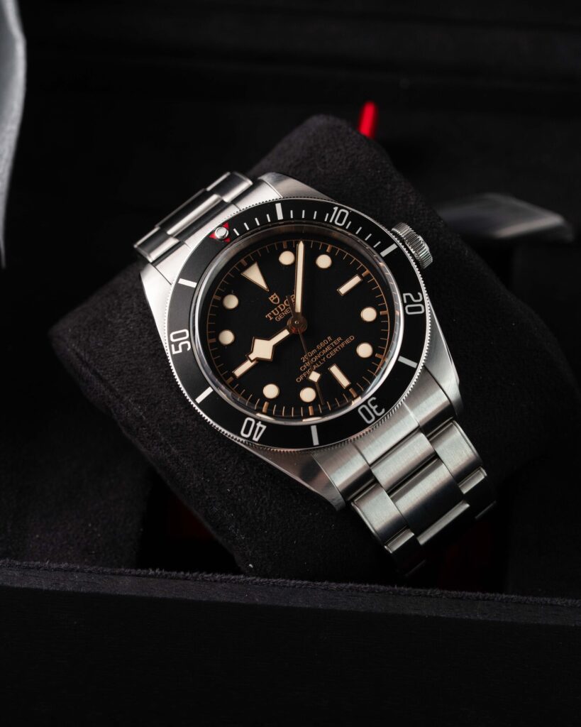 Tudor Black Bay 79230N 2022
