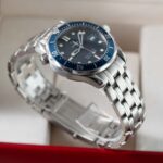 Omega Seamaster 22238000 2010