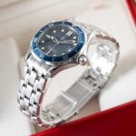 Omega Seamaster 22238000 2010