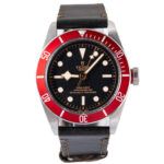 Tudor Black Bay 79230R 2021