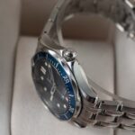 Omega Seamaster 22238000 2010