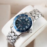 Omega Seamaster 22238000 2010