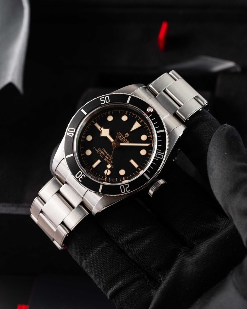 Tudor Black Bay 79230N 2022