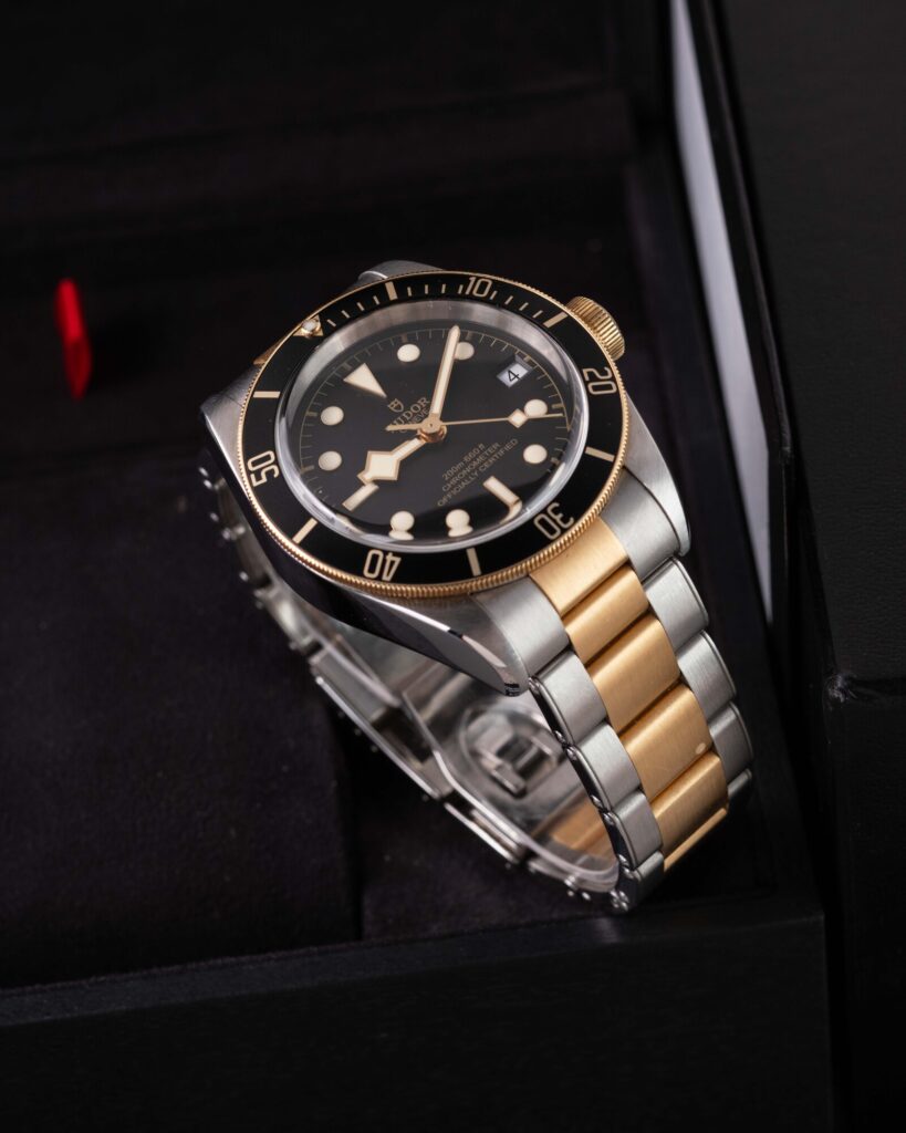 Tudor Blackbay 79733N