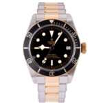 Tudor Black Bay S&g 79733N 2023