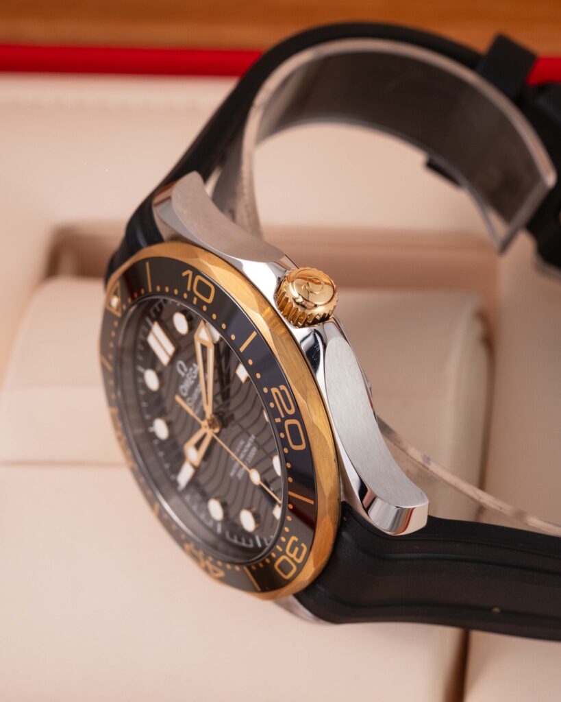 Omega Seamaster 210.22.42.20.01.001 2022