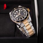 Tudor Black Bay S&g 79733N 2023