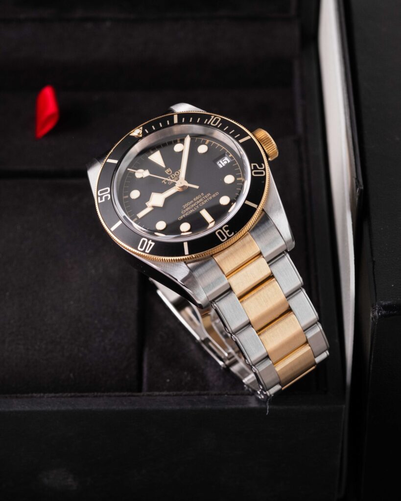 Tudor Black Bay S&g 79733N 2023