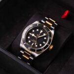 Tudor Black Bay S&g 79733N 2023