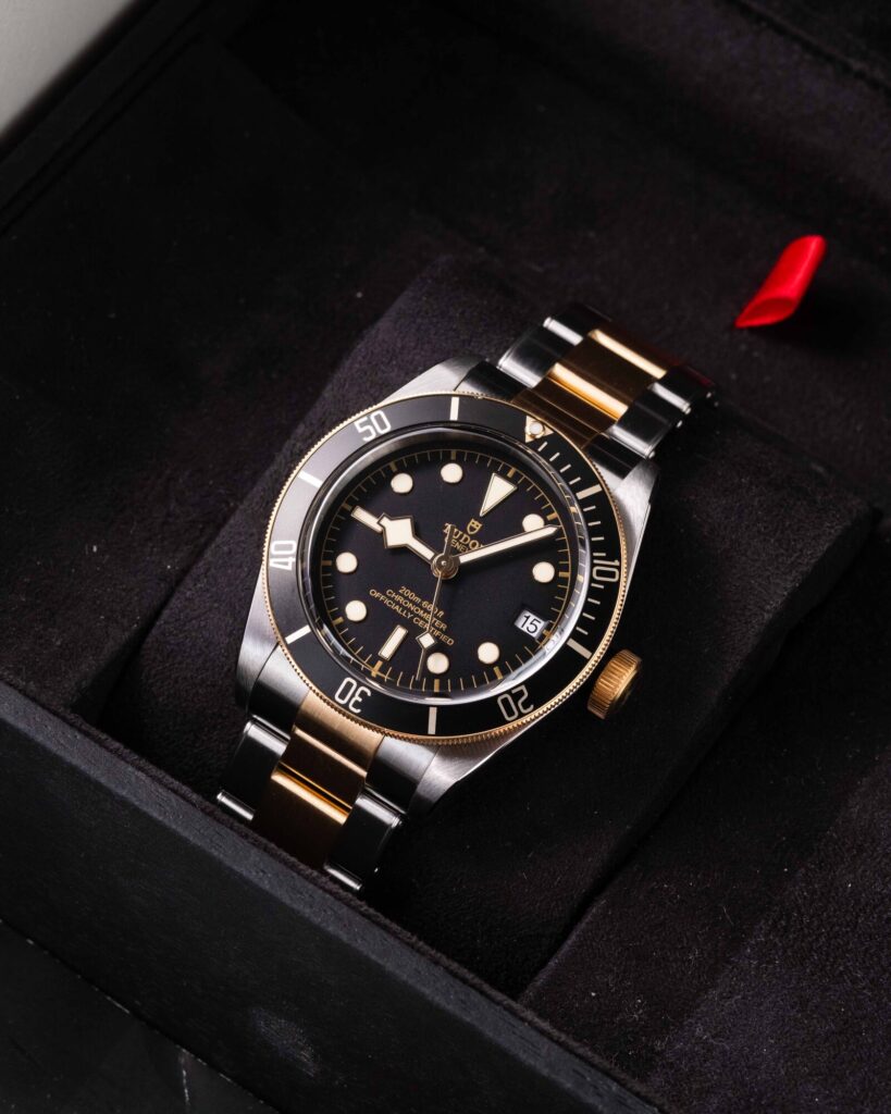 Tudor Black Bay S&g 79733N 2023