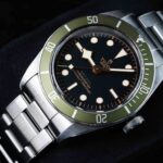 Tudor Black Bay 79230G 2021