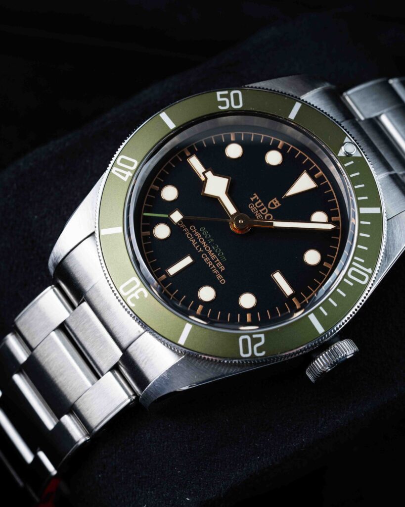 Tudor Black Bay 79230G 2021