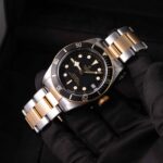 Tudor Black Bay S&g 79733N 2023