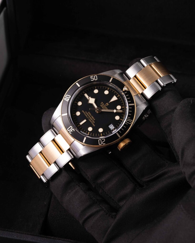 Tudor Black Bay S&g 79733N 2023