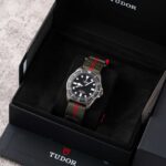 Tudor Pelagos 25717N 2025