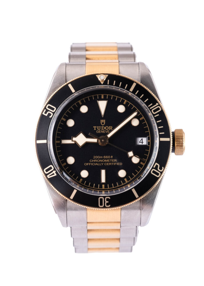 Tudor Blackbay 79733N