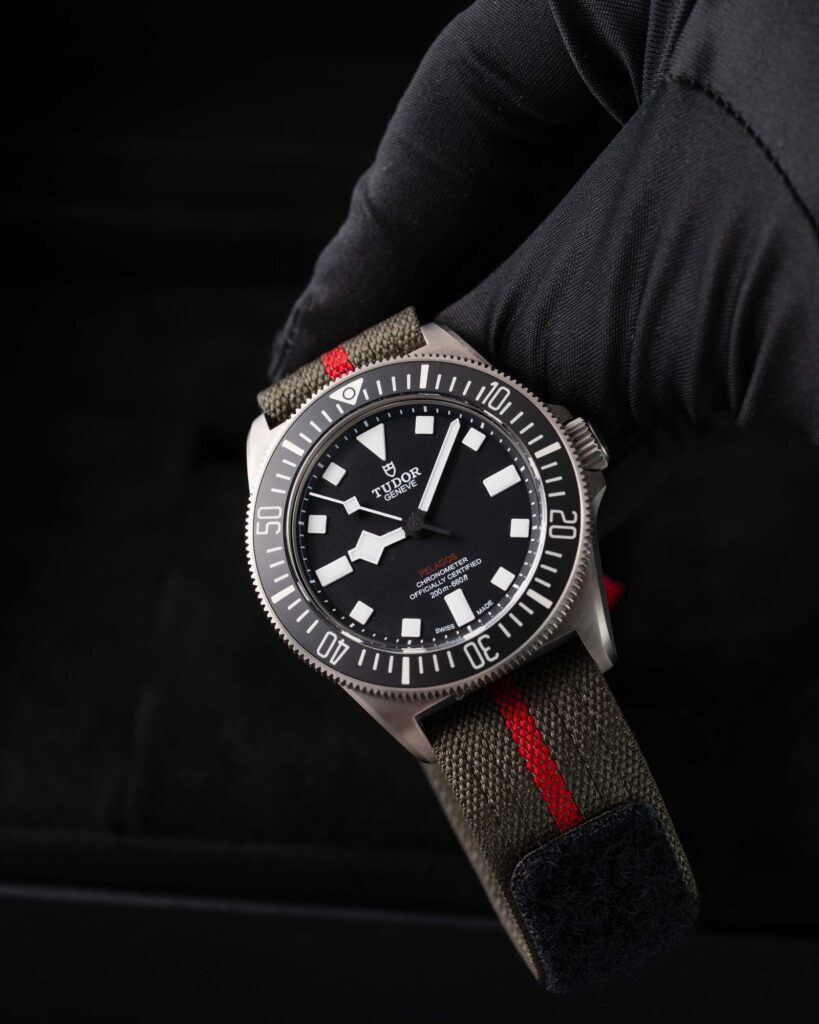 Tudor Pelagos 25717N 2025