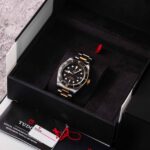 Tudor Black Bay S&g 79733N 2023