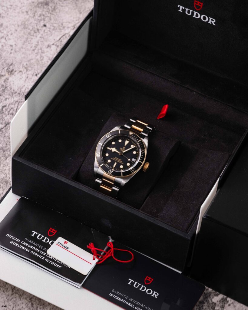 Tudor Black Bay S&g 79733N 2023