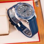 Omega Seamaster Diver 300 210.32.42.20.06.001 2026