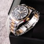 Tudor Black Bay S&g 79733N 2023