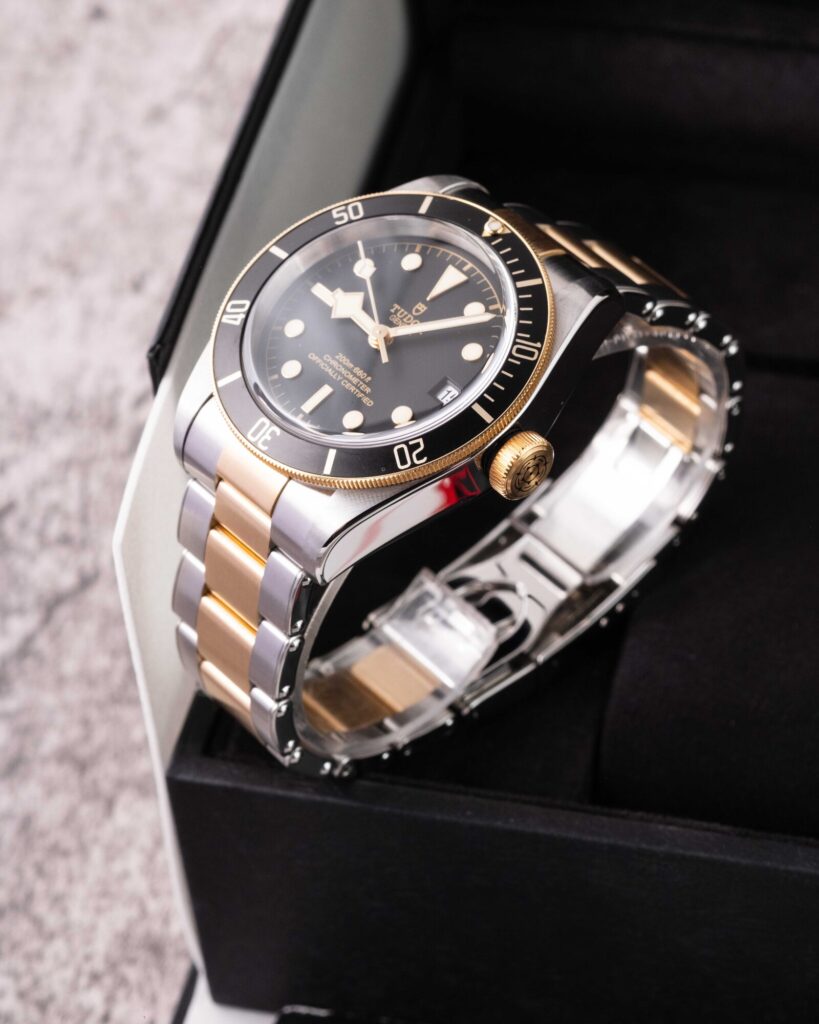 Tudor Black Bay S&g 79733N 2023
